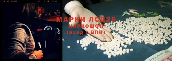 дживик Пересвет