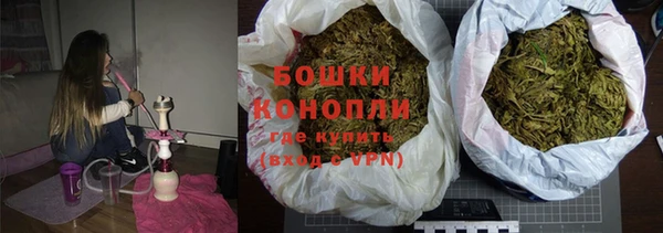 дживик Пересвет