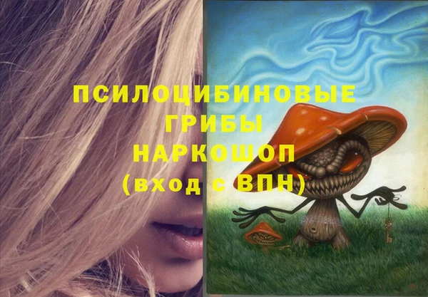 МДПВ Пестово