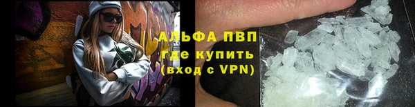 дживик Пересвет