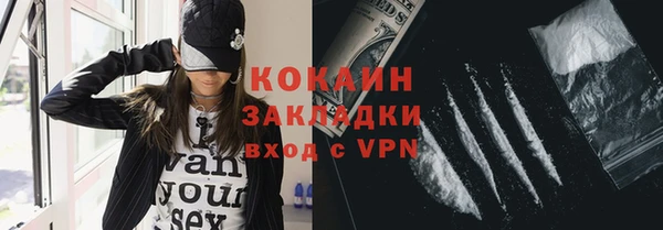 дживик Пересвет