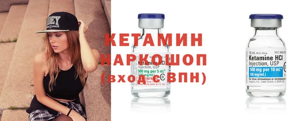 дживик Пересвет