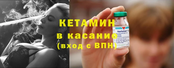 дживик Пересвет
