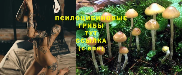 дживик Пересвет