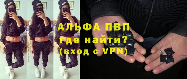 дживик Пересвет