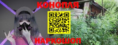 стаф Чебаркуль
