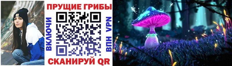 это наркотические препараты  гидра tor  Ноябрьск  купить наркотики сайты  Псилоцибиновые грибы мухоморы 