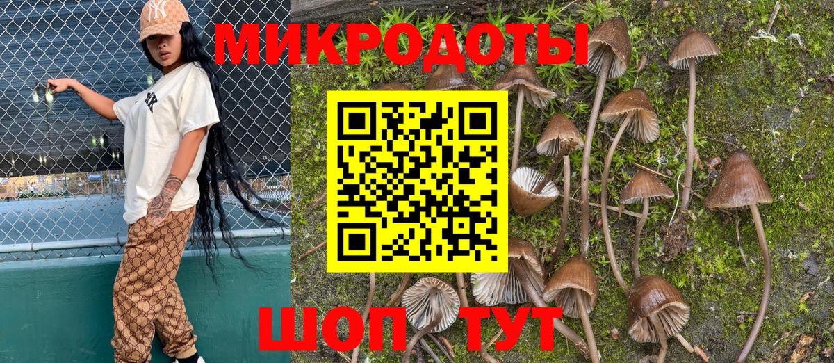 Псилоцибиновые грибы ЛСД Ноябрьск